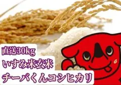 令和7年農家直送 千葉県いすみ市産 いすみ米コシヒカリ 玄米 30kgのサムネイル