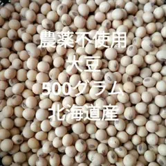 大豆(ゆきほまれ) 十勝産 1kg+1割増量 - メルカリ