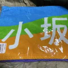 Item thumbnail for item cd37684a-00bd-4d32-b739-b82fb1ea48fe