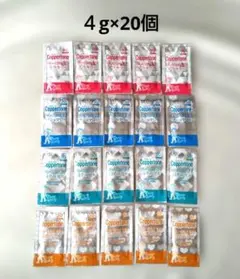 Coppertone 日焼け止めサンプルセット 4g×20個 (4種 各5)のサムネイル
