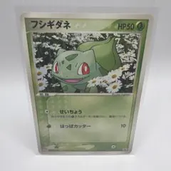 フシギダネ PROMO ADV-Pプロモカード 051/ADV-P - メルカリ