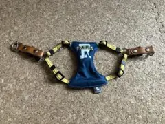 Item thumbnail for item e70ac916-57fc-412e-a2b1-1266cf0f1e54