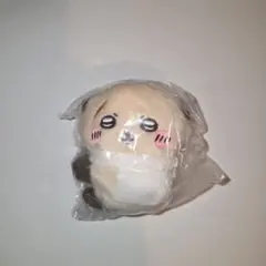 Item thumbnail for item c5615a49-43b9-4324-a544-01ccca7c42b0