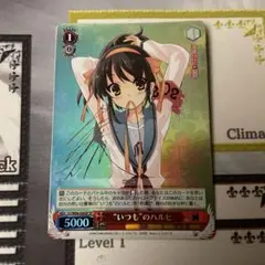 ヴァイスシュヴァルツ 次なる未知への探究ハルヒ　SP サイン 2025年最新】ヴァイス ハルヒ サインの人気アイテム - メルカリ