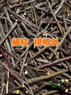 Item thumbnail for item 77734c15-e247-4824-9a8d-8151cd52174c