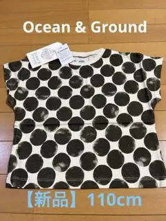 ★Ocean & Ground お洒落なドット柄 Tシャツ【新品】のサムネイル