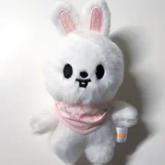 美品中古【匿名】Stray Kids スキズ リービット 10cmぬいのサムネイル