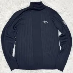 Item thumbnail for item 9259cc15-eb3c-4087-a63c-7b7773007dfa