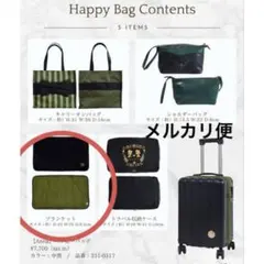 しまむら ハッピーバッグ ちはる アナ ブランケット ディズニー アナ雪