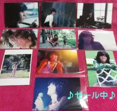 【未使用】西城秀樹　12.5×18　2Ⅼ版サイズ　写真　10枚入りのサムネイル