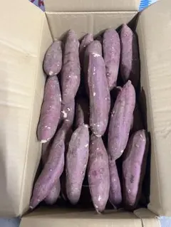 ちゃー様専用！大分県産　甘太くんA品Mサイズ　10キロ