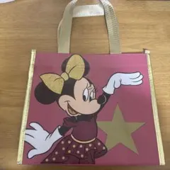 東京ディズニーリゾート店 ショッピングバッグ ミニーマウス　ディズニーストア