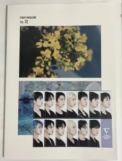 SEVENTEEN 会報 vol.01〜06 ポストカード おまけ付き 2025年最新】セブチ 会報誌の人気アイテム - メルカリ