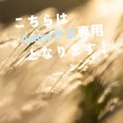 【Asami❄️さま専用】