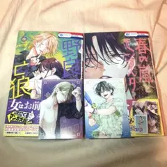 野良猫と狼 6巻&春の嵐とモンスター 8巻 応募券&ポストカード付き