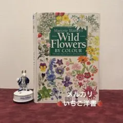 129①チェコ植物図鑑　2冊セット　洋書古書　ジャンクジャーナル　ボタンニカル 42⑥1986年イギリス植物図鑑 ジャンクジャーナル 洋書古書 ボタン