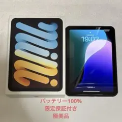 iPad mini 第7世代 セルラー 256GB バッテリー100% 美品 美品iPad mini第七世代 A17 Pro セルラーBT100% SIMフリー】iPad mini
