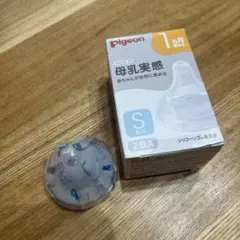 Item thumbnail for item ecc8bc40-e72a-4960-9c3f-ae63dc31f7d5