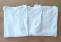 GUNZE　グンゼ　インナー　半袖Tシャツ　LLサイズ　ホワイト　3枚　肌着