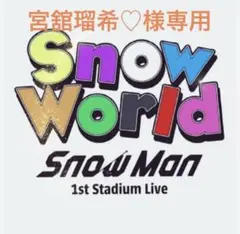 宮舘瑠希♡様専用SnowMan 9人 (ミニうちわ)