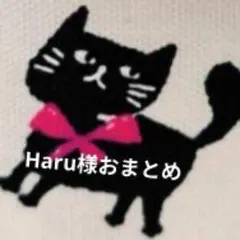 Haru様 リクエスト 3点 まとめ商品