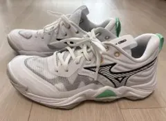 Item thumbnail for item 5a5857b8-cb6b-4700-8af6-a307fa47989e