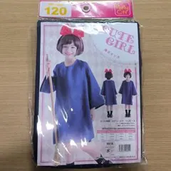 ガンダムSEED マスコットロボット ハロ2 ピンクちゃん フィギュア 1/1