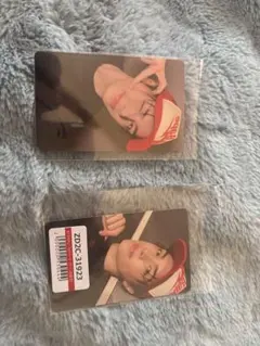 Item thumbnail for item 12e0ae92-8b63-4cbd-9d71-a69fbc2a1039