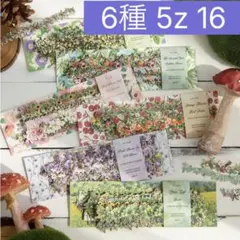 5z-16 ／コラージュ素材　シール　ステッカー　セット　まとめ売り 花　植物