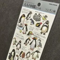 ブブタン様 リクエスト 3点 まとめ商品