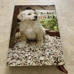 Item thumbnail for item 669ec625-08de-4260-a572-70950370b1a4