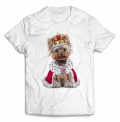 白猫オッドアイ様 リクエスト 2点 まとめ商品