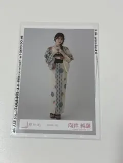 櫻坂46 向井純葉 生写真 2025浴衣 スワリ - メルカリ