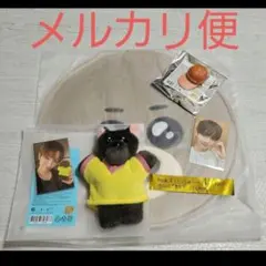 Boynextdoor プネクド MYNGMYNG ジェヒョン うちわカバー