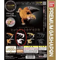 いきもの大図鑑 アドバンス ヒョウモントカゲモドキ　1種類