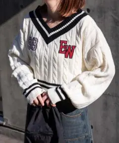 ワッペンチルデンVネックニット WEGO 新品未使用