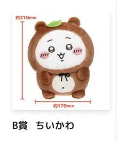 ちいかわたぬきだもんくじ