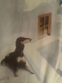 ⭐︎⭐︎⭐︎ポロシャツ　いつでも犬ちゃんと一緒のサムネイル