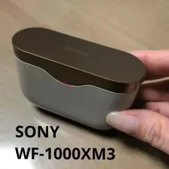 SONY ワイヤレスイヤホン WF-1000XM3