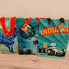 3枚トレーダージョーズエコバッグ　トレジョ エコバッグ　TRADER JOE’S