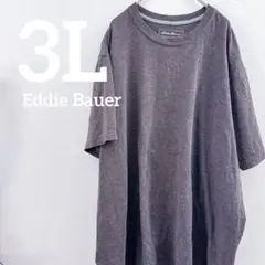 ⭐️450 Eddie Bauer ビッグシルエット オーバーサイズ 半袖