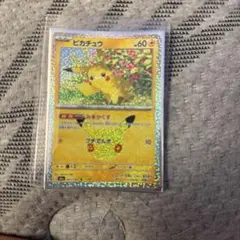 Pika cute
