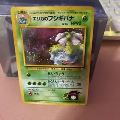 旧裏　エリカのフシギバナ　渦巻きホロ入