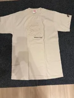 ELEMENTS OF STYLE Tシャツ ベージュ L