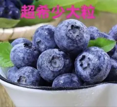 採れた新鮮ブルーベリー　超希少大粒秀品　新入荷即発送　ラスト1点のみ限定特別出品のサムネイル