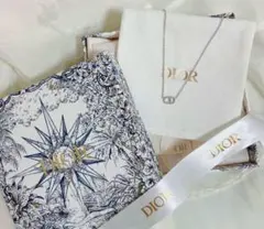 【Dior】ディオール　ネックレス　dior シルバー　ネックレス　DIOR