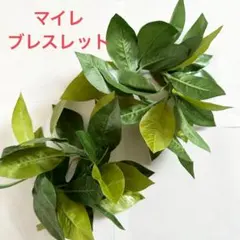 Item thumbnail for item c5829343-c5f2-46bb-8b7b-53b58ae07e56