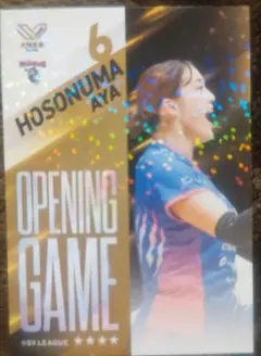 PFUブルーキャッツ　カード　細沼綾選手　Vコレ　ＳVリーグ