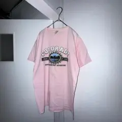 FRUITOFTHELOOM 英字プリント ベビーピンク y2k Mサイズ