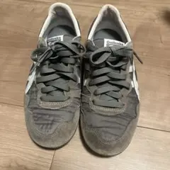 Item thumbnail for item c24f7911-5bba-4219-a0a5-4d503ef0e8c3